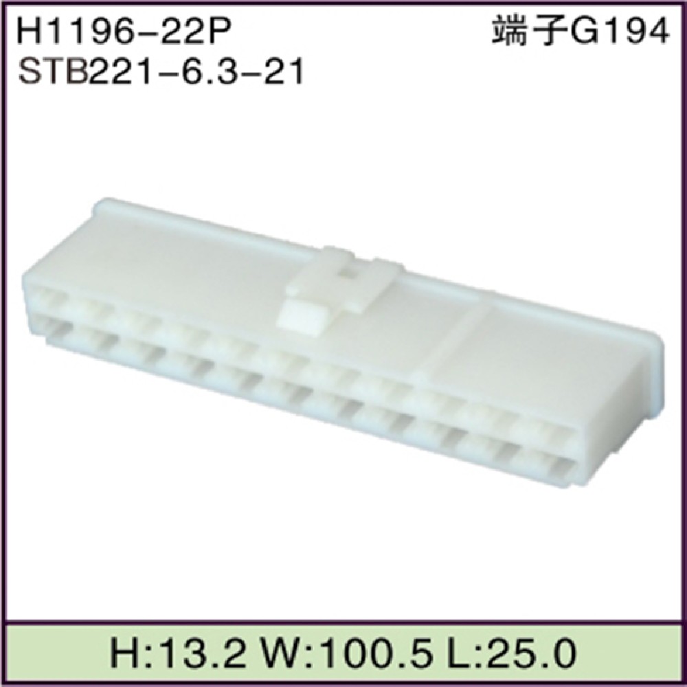 STB221-6.3-21