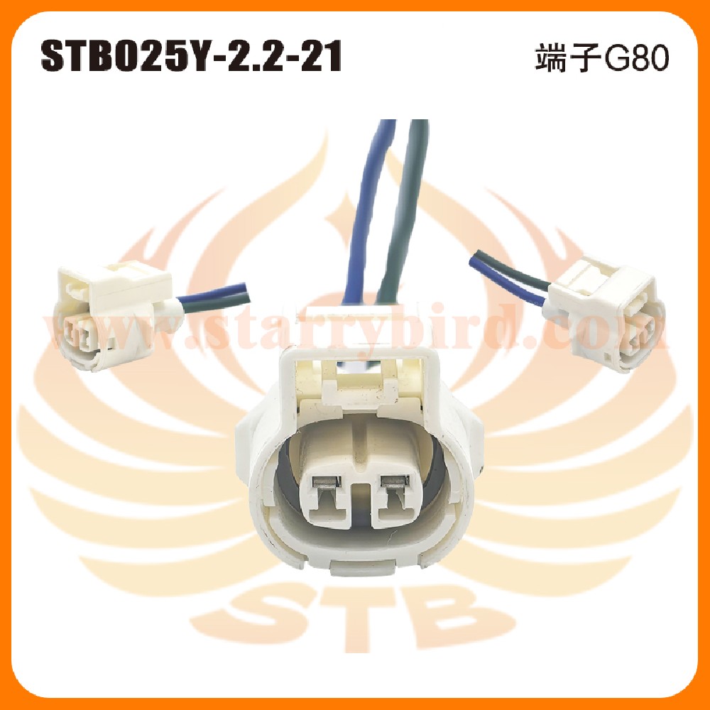 STB025Y-2.2-21