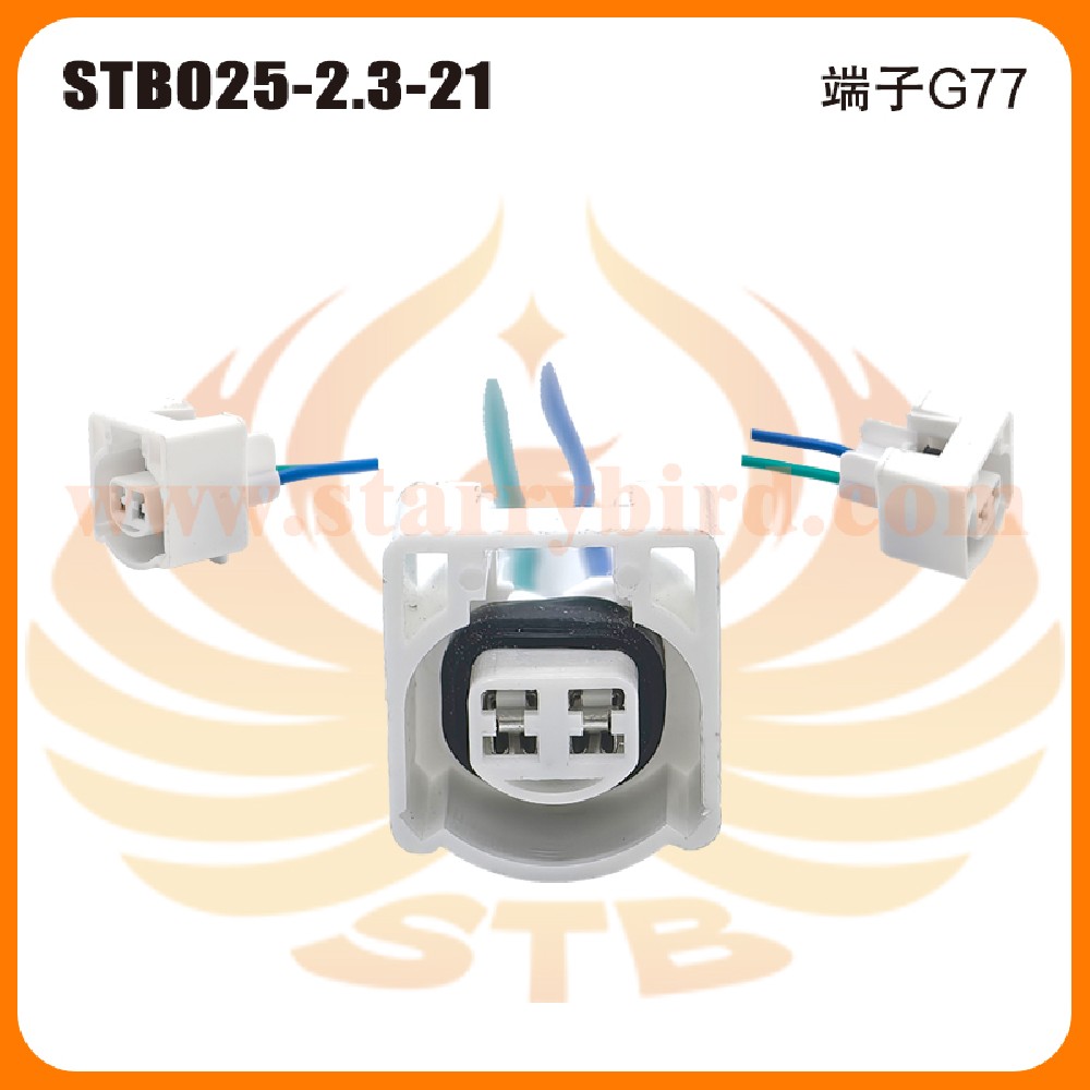 STB025-2.3-21