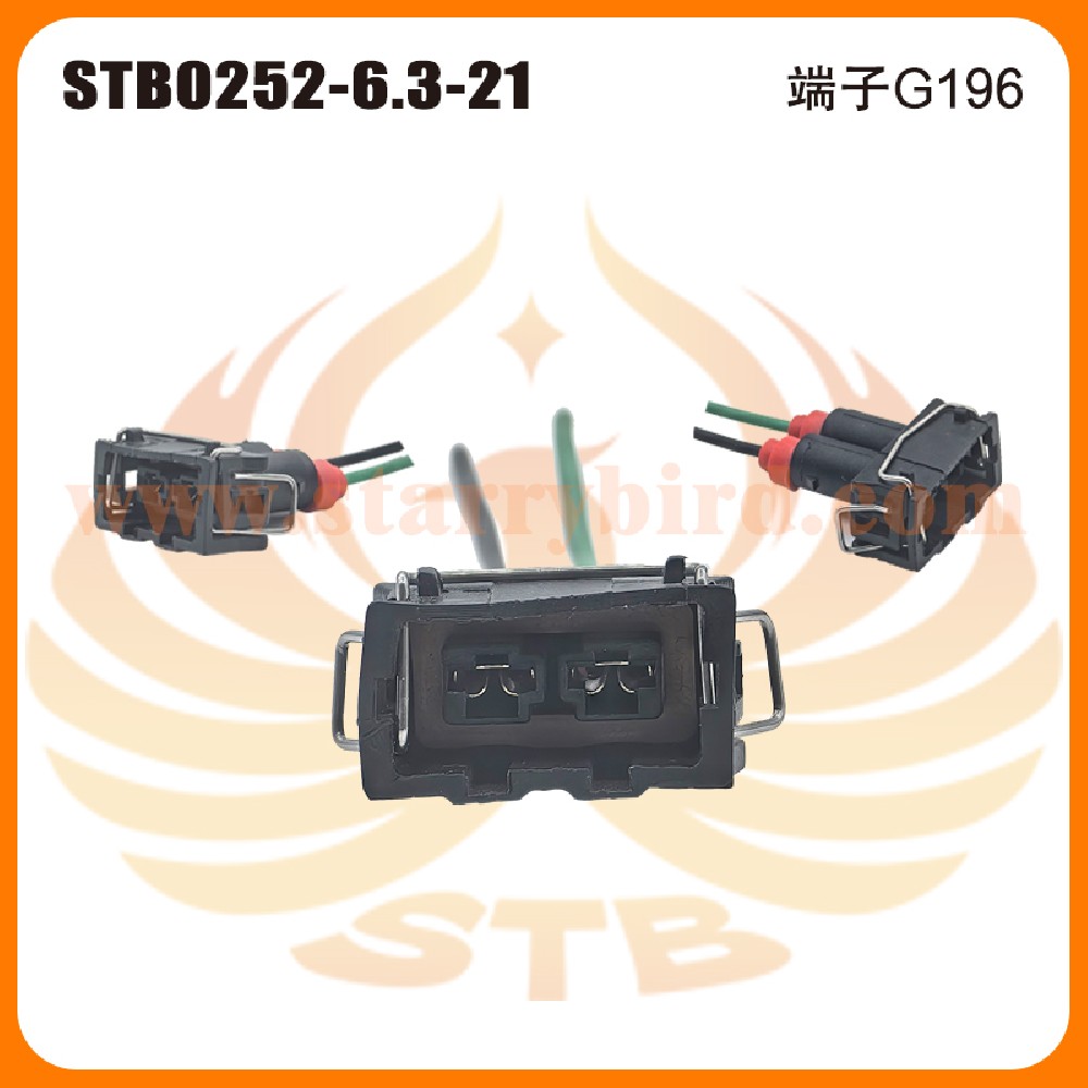 STB0252-6.3-21