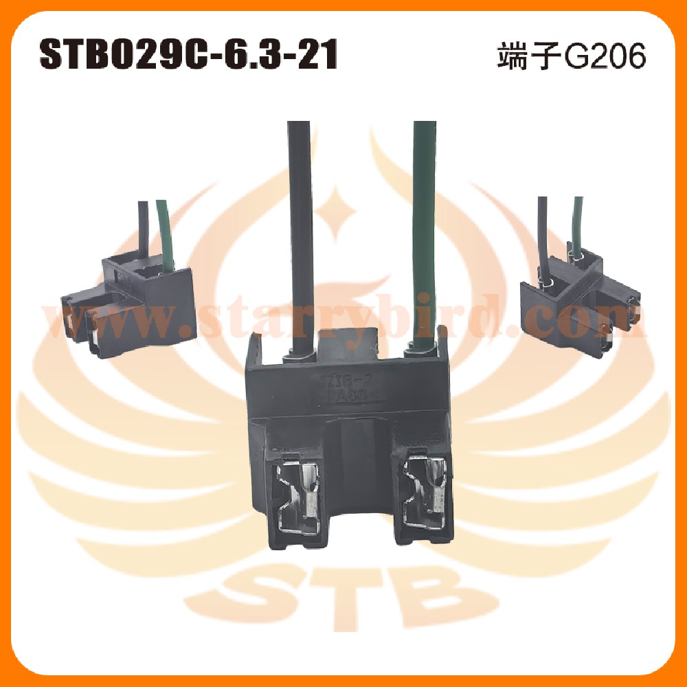 STB029C-6.3-21
