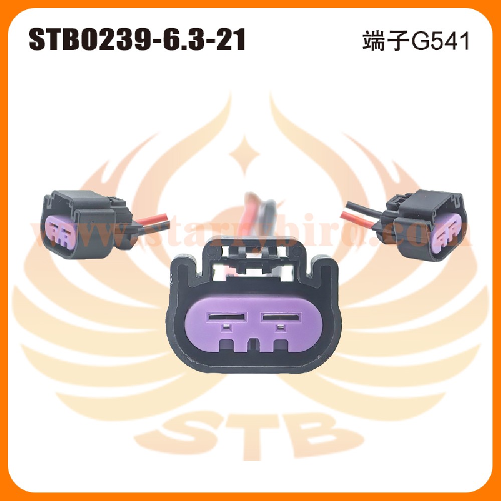 STB0239-6.3-21