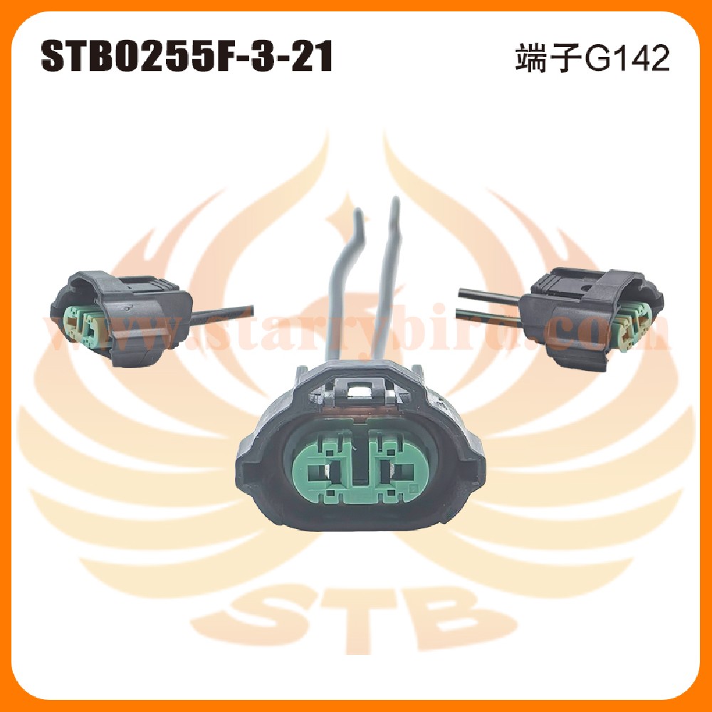 STB0255F-3-21