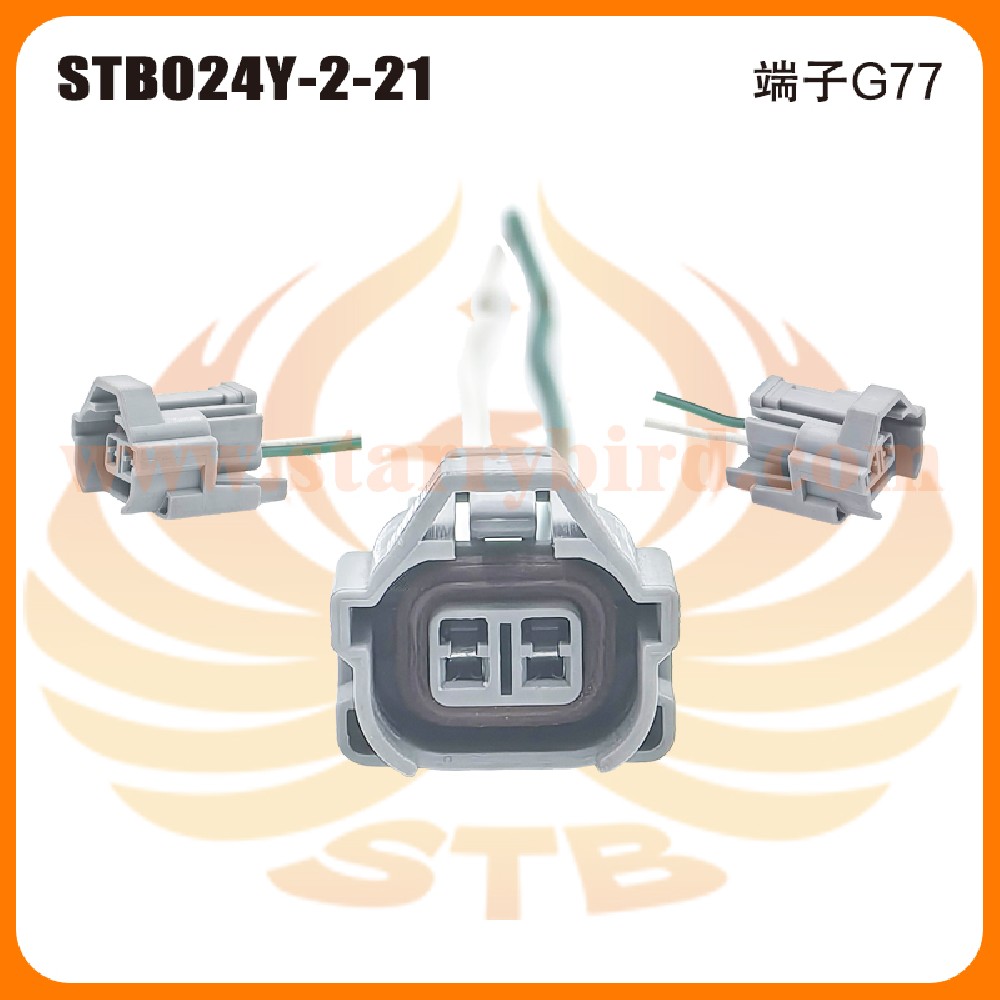 STB024Y-2-21