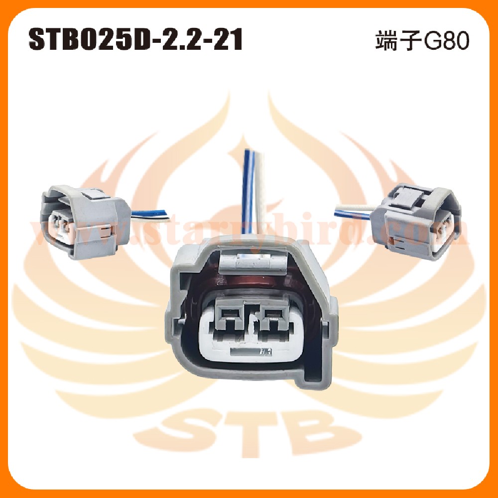 STB025D-2.2-21
