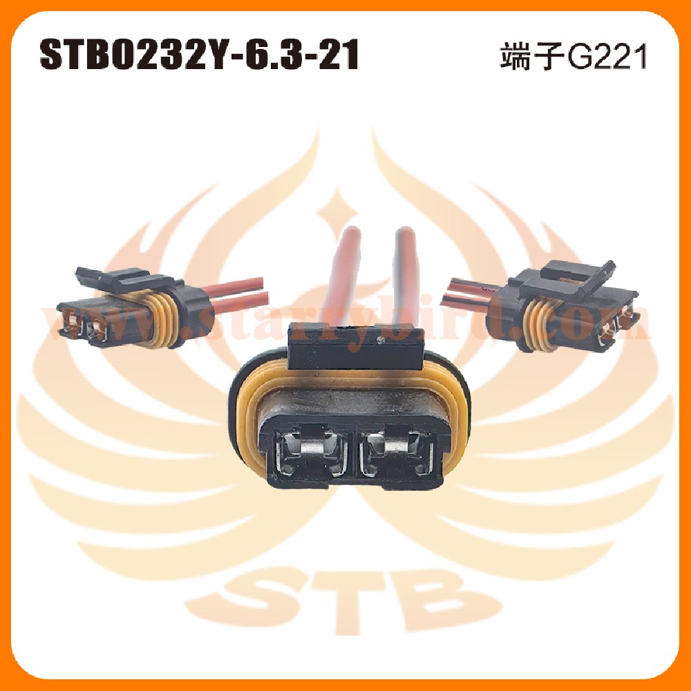 STB0232Y-6.3-21