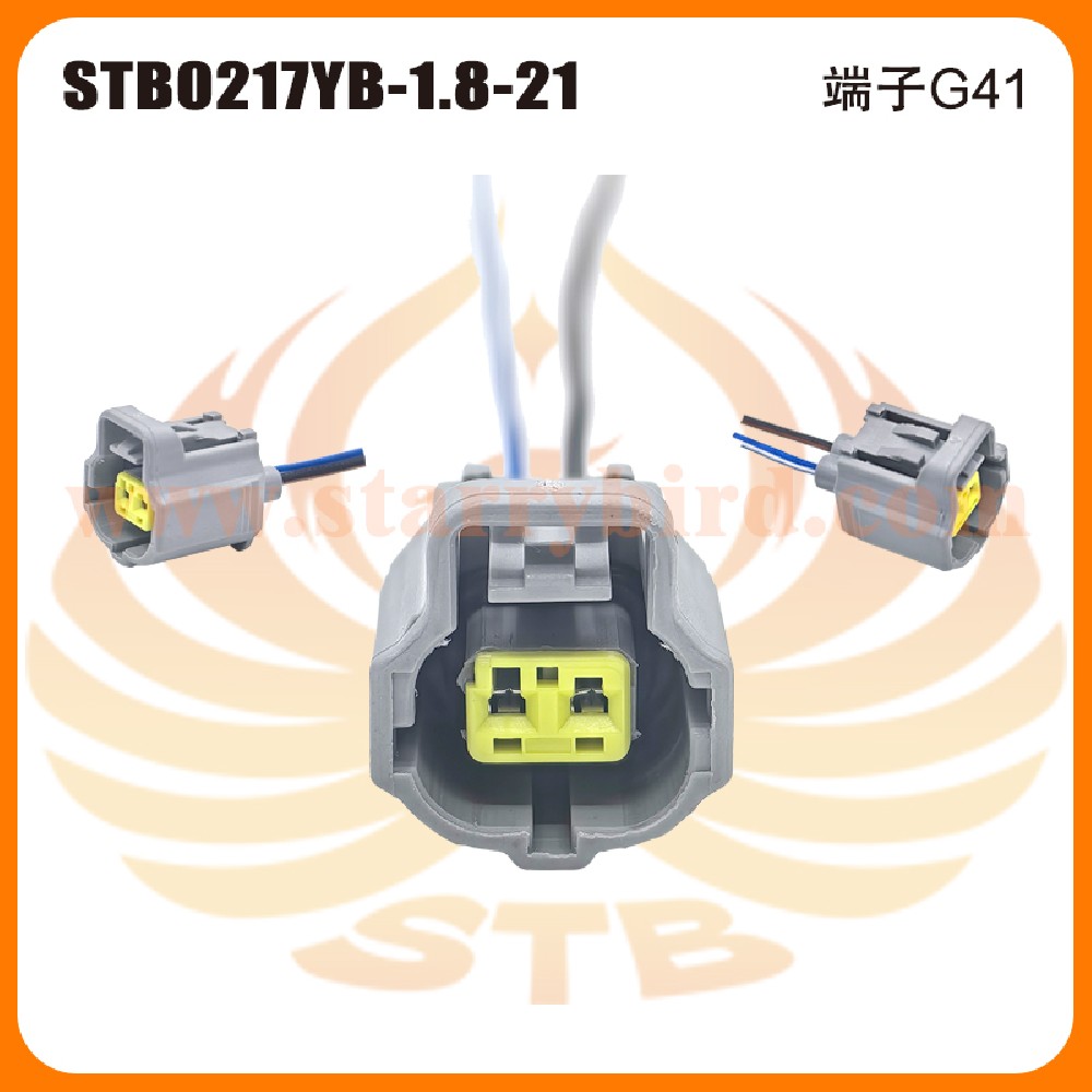STB0217YB-1.8-21