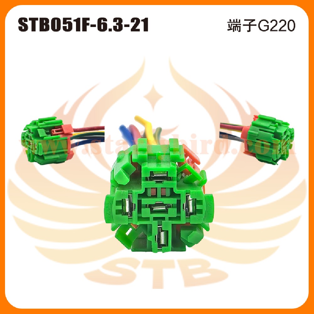 STB051F-6.3-21