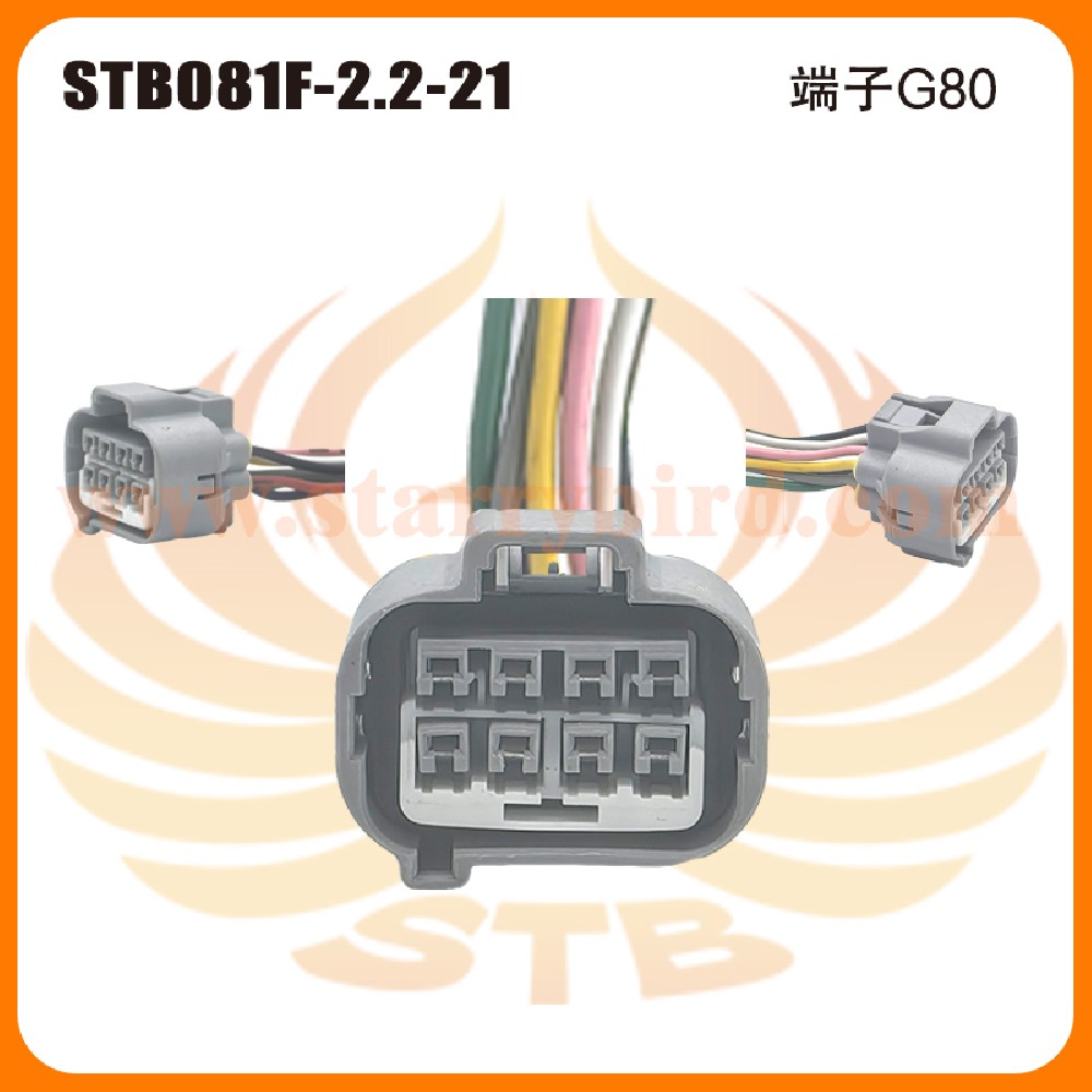 STB081F-2.2-21