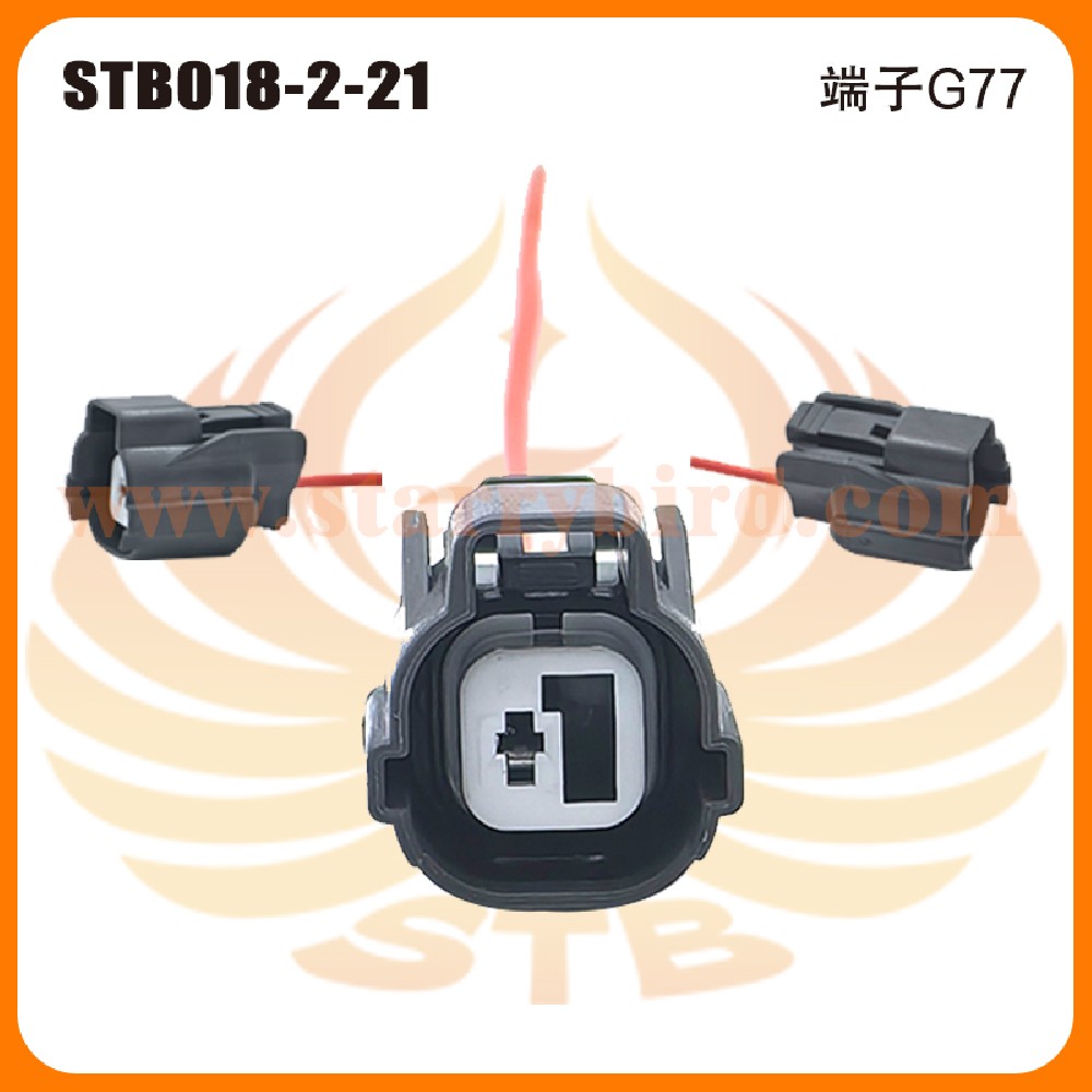 STB018-2-21