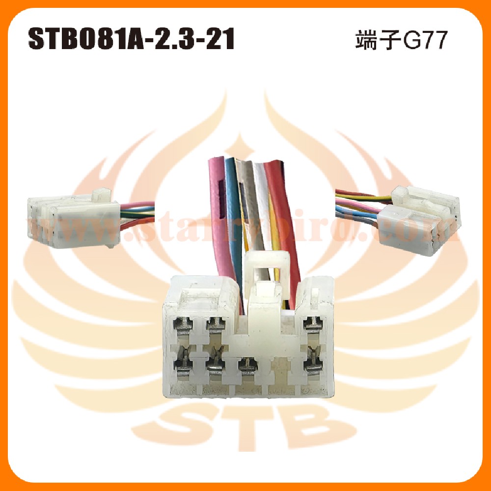 STB081A-2.3-21