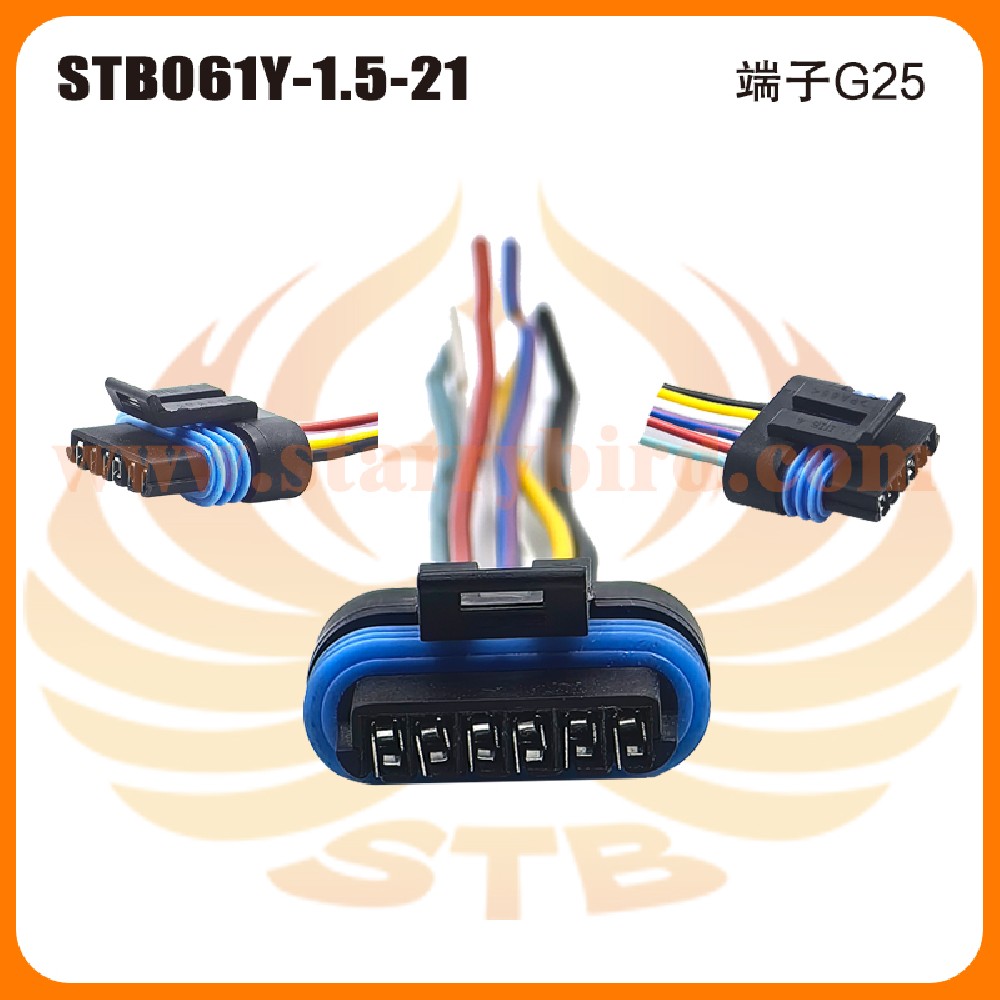 STB061Y-1.5-21
