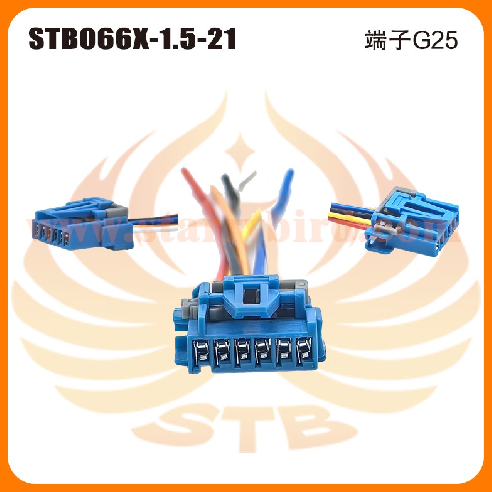 STB066X-1.5-21