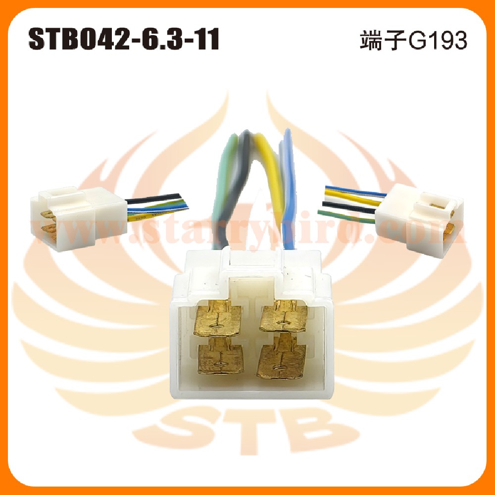 STB042-6.3-11