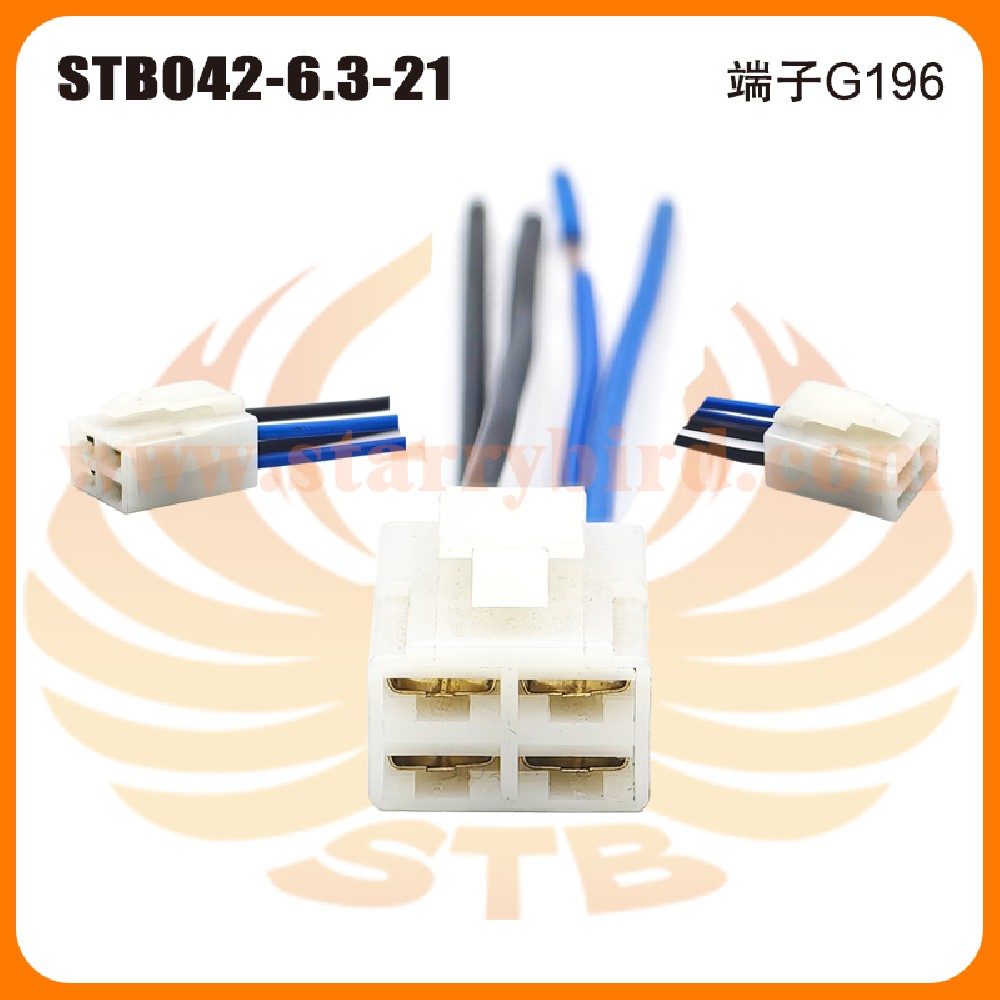 STB042-6.3-21