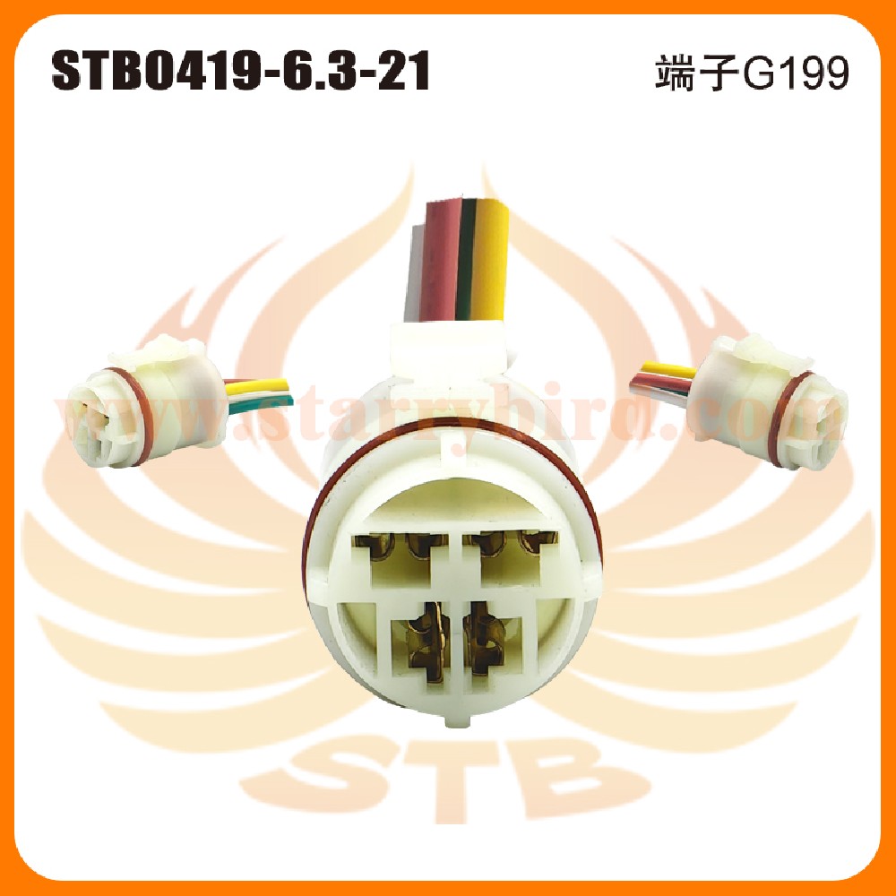 STB0419-6.3-21