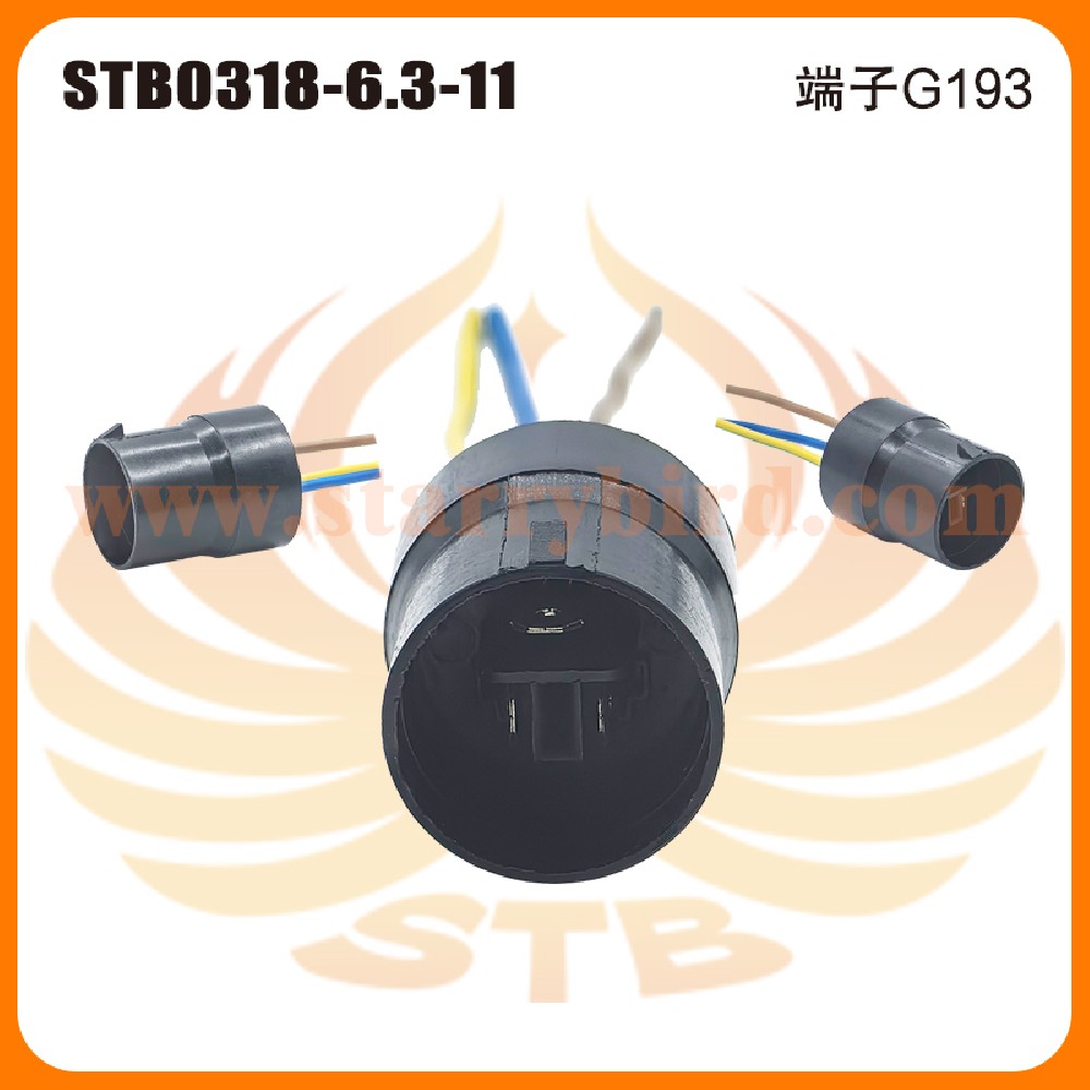 STB0318-6.3-11