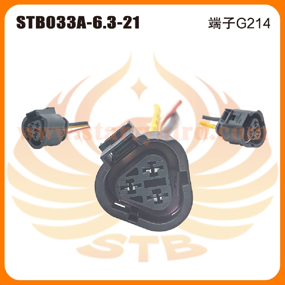STB033A-6.3-21