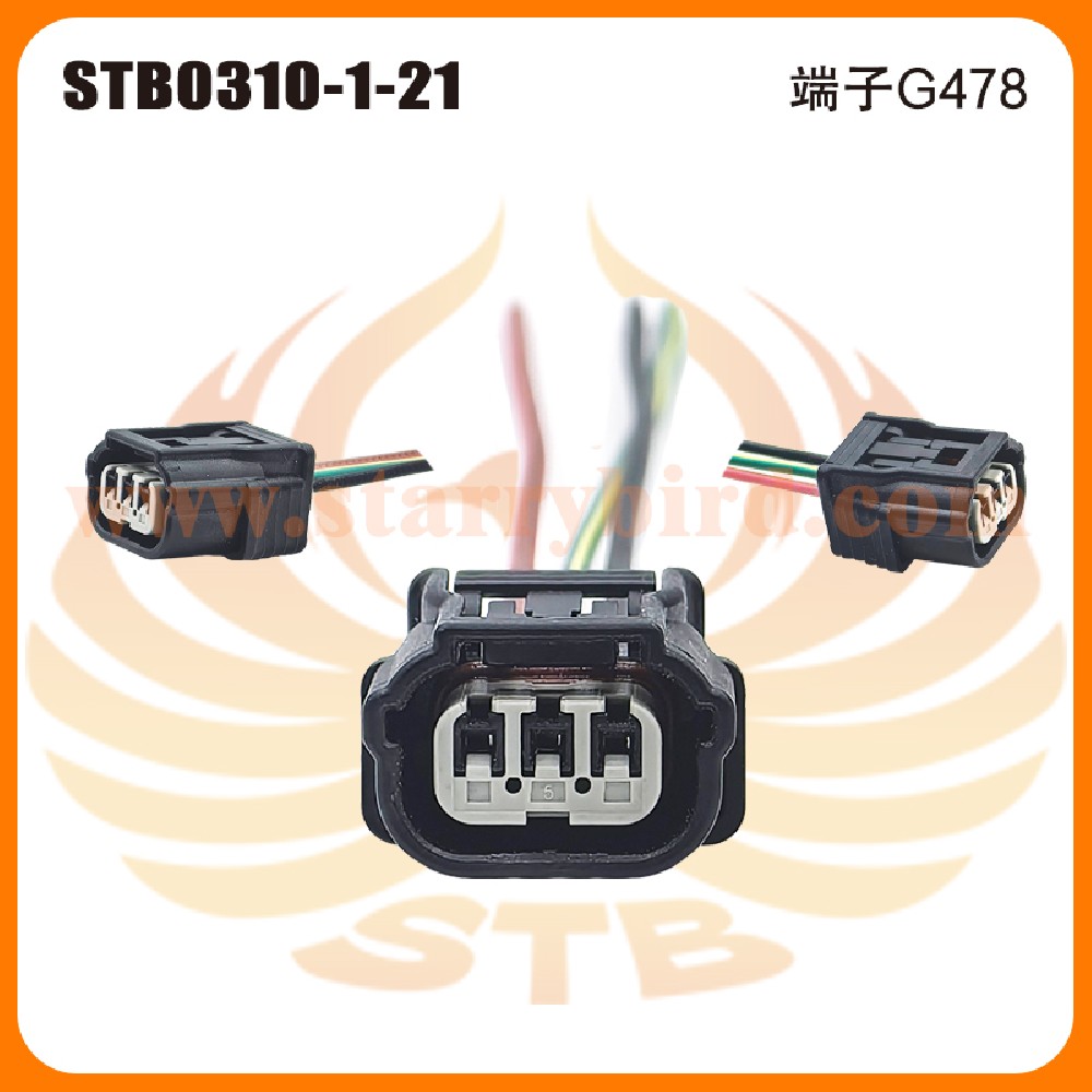 STB0310-1-21