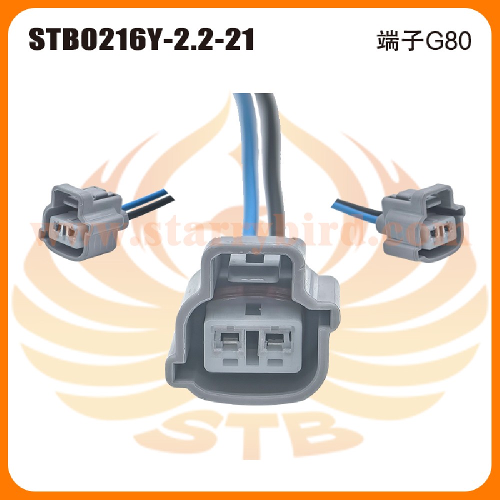 STB0216Y-2.2-21