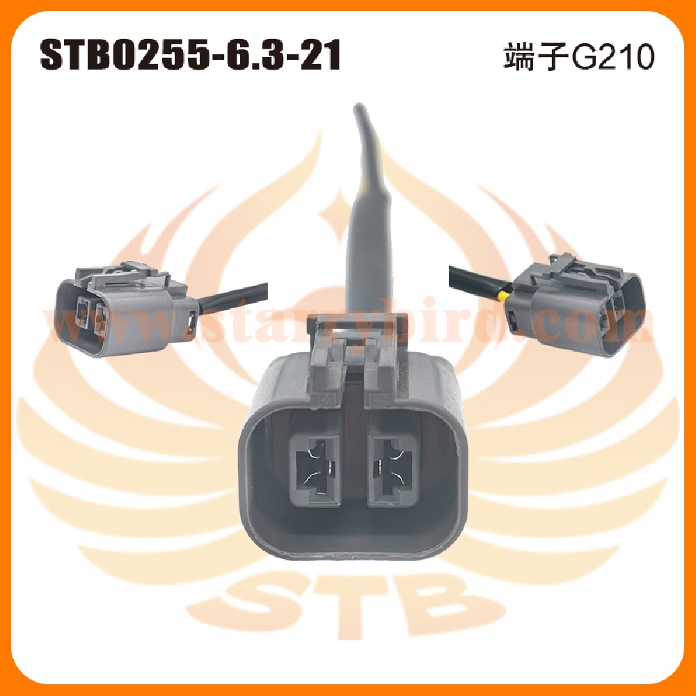 STB0255-6.3-21