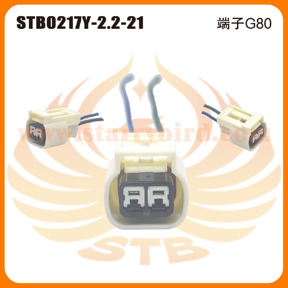 STB0217Y-2.2-21