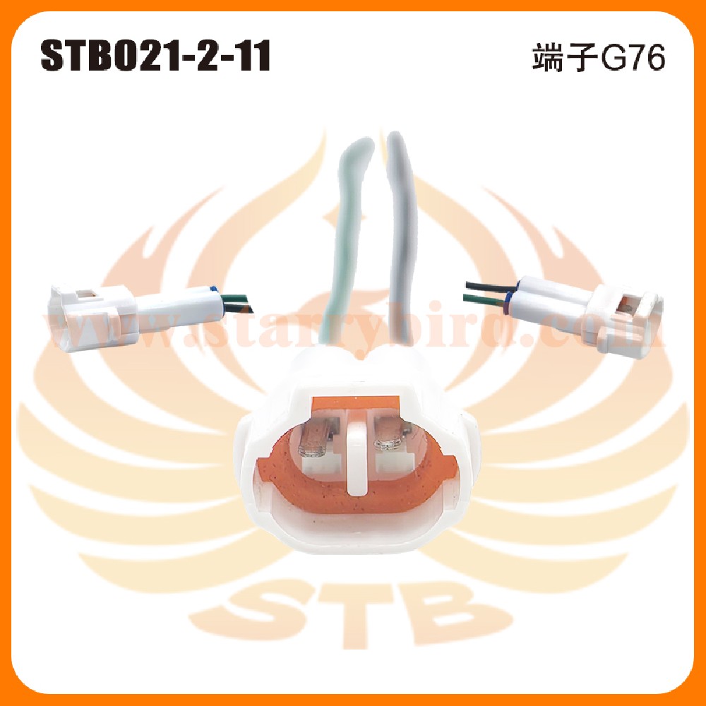 STB021-2-11