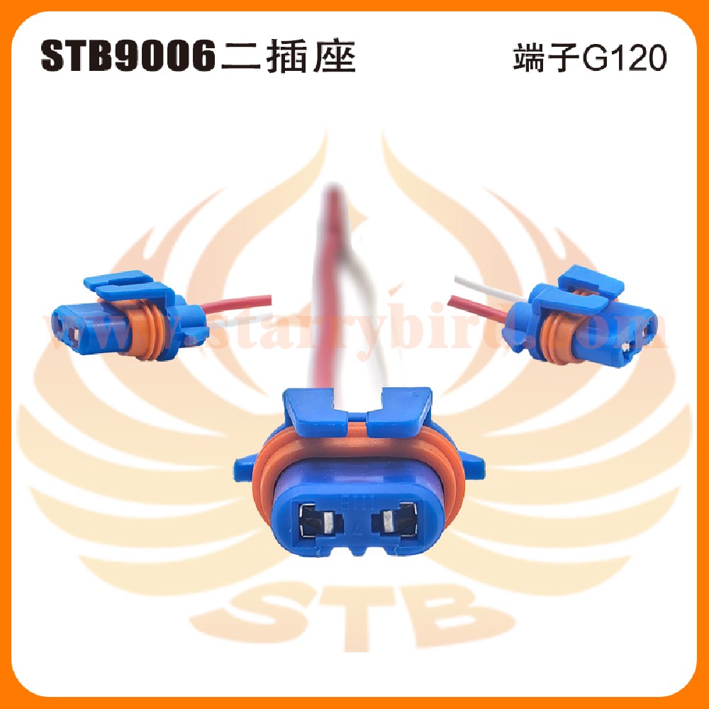 STB9006二插座