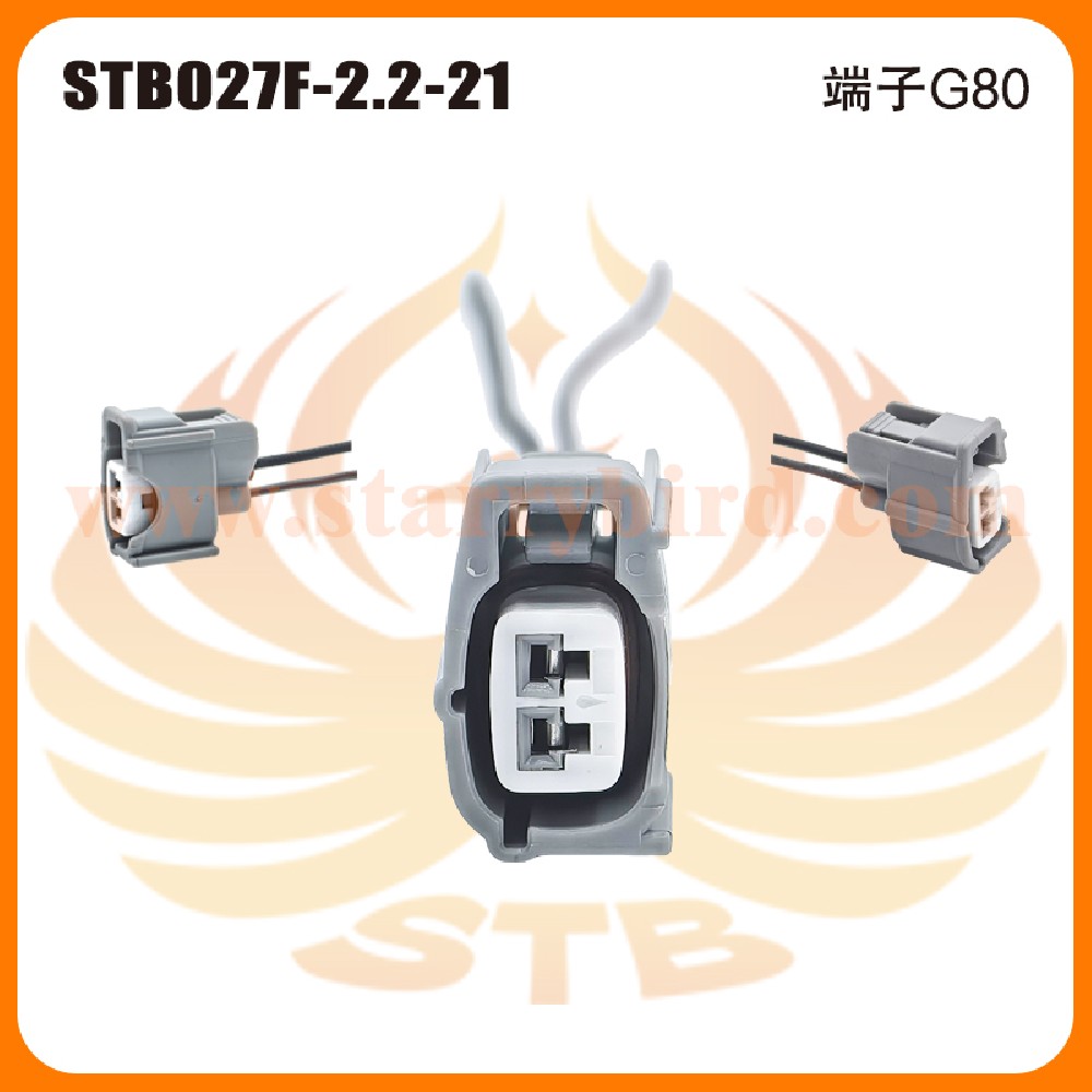 STB027F-2.2-21
