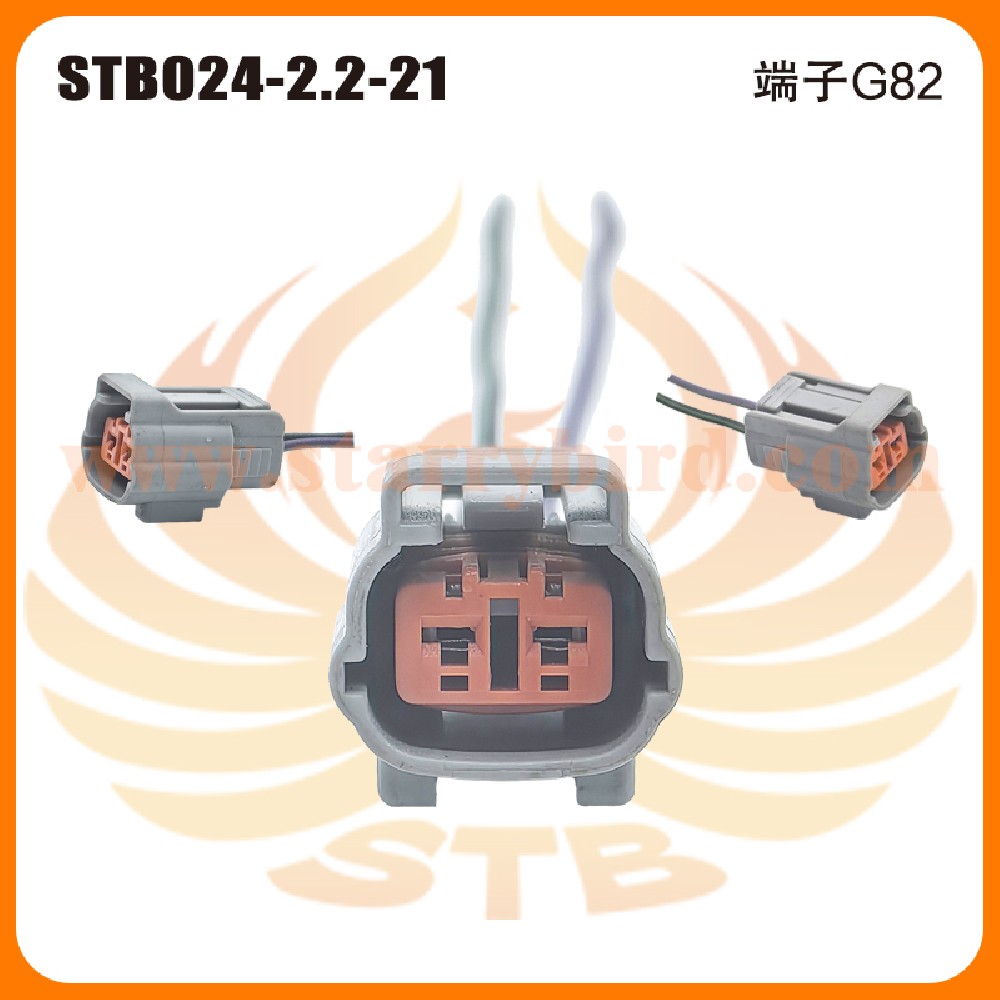 STB024-2.2-21
