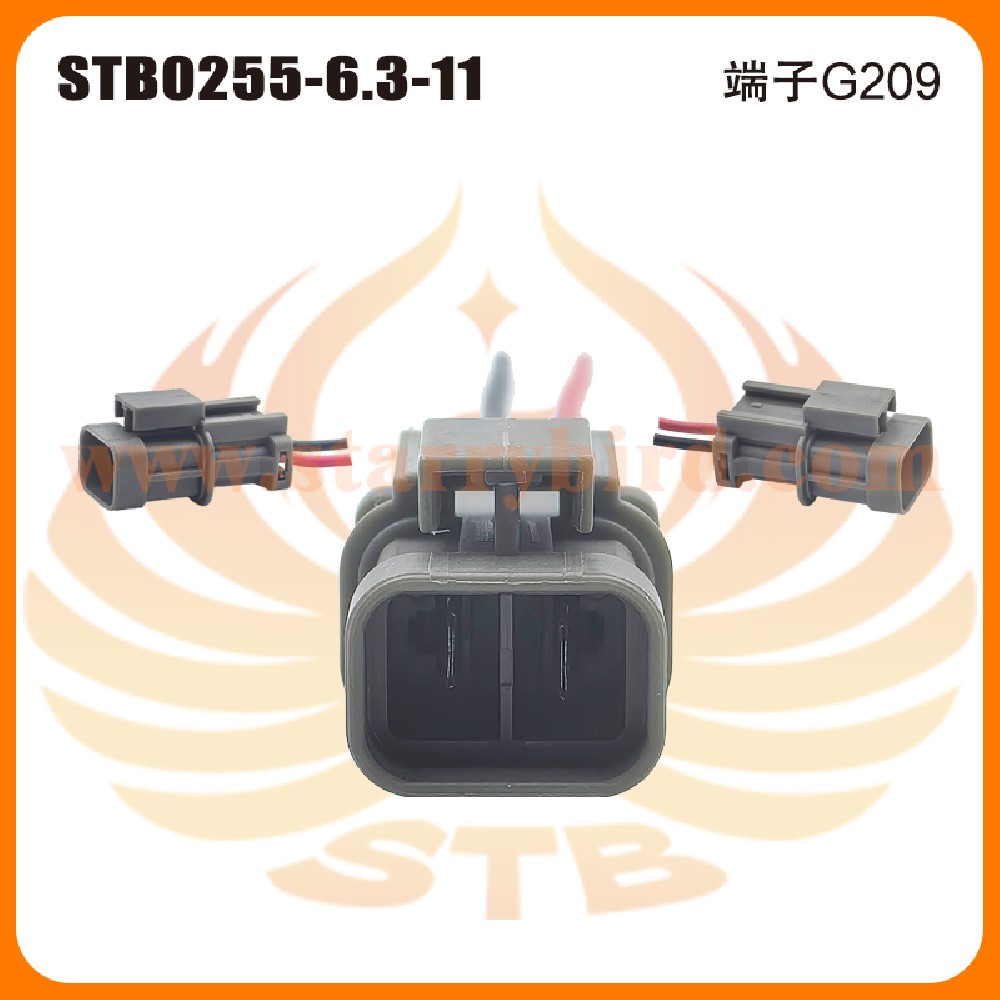STB0255-6.3-11