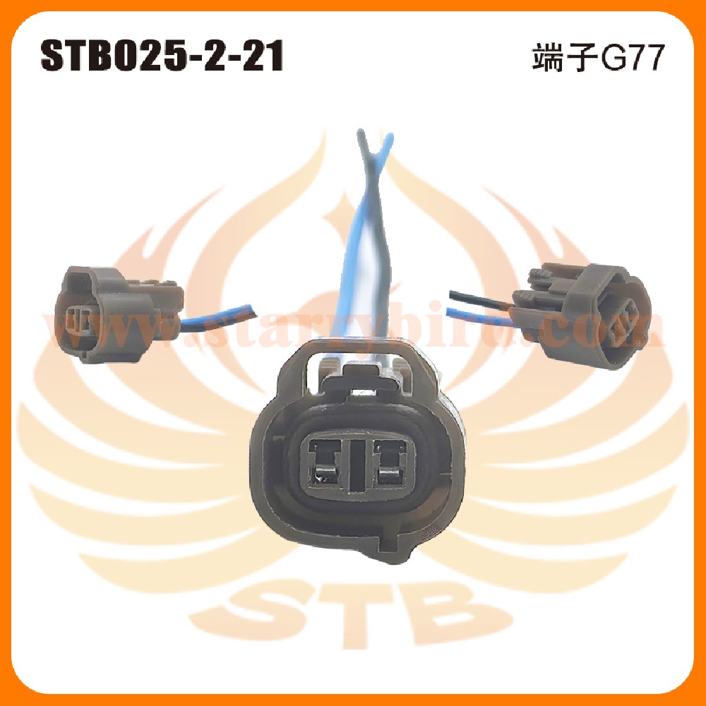 STB025-2-21