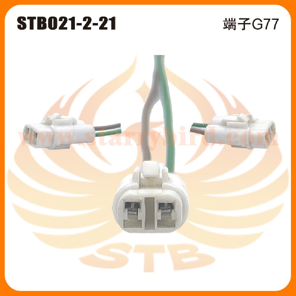 STB021-2-21