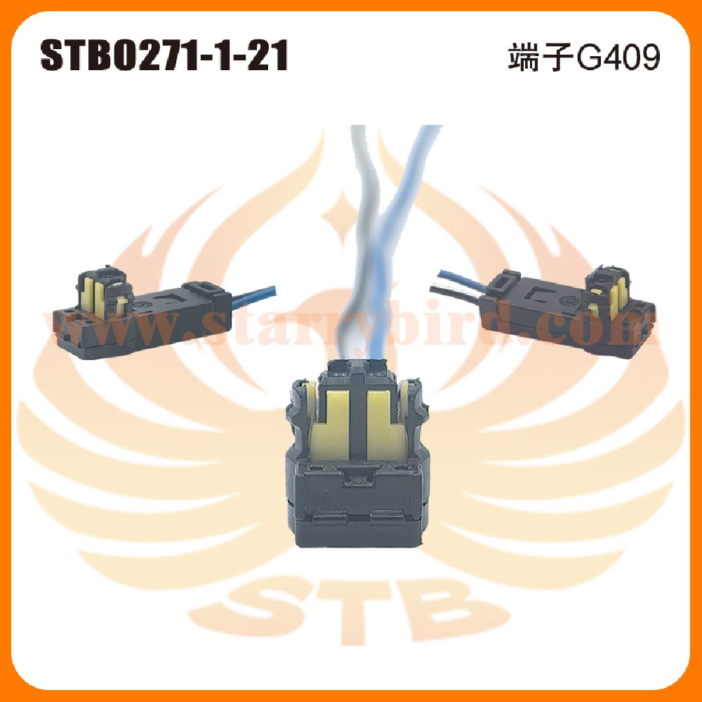 STB0271-1-21
