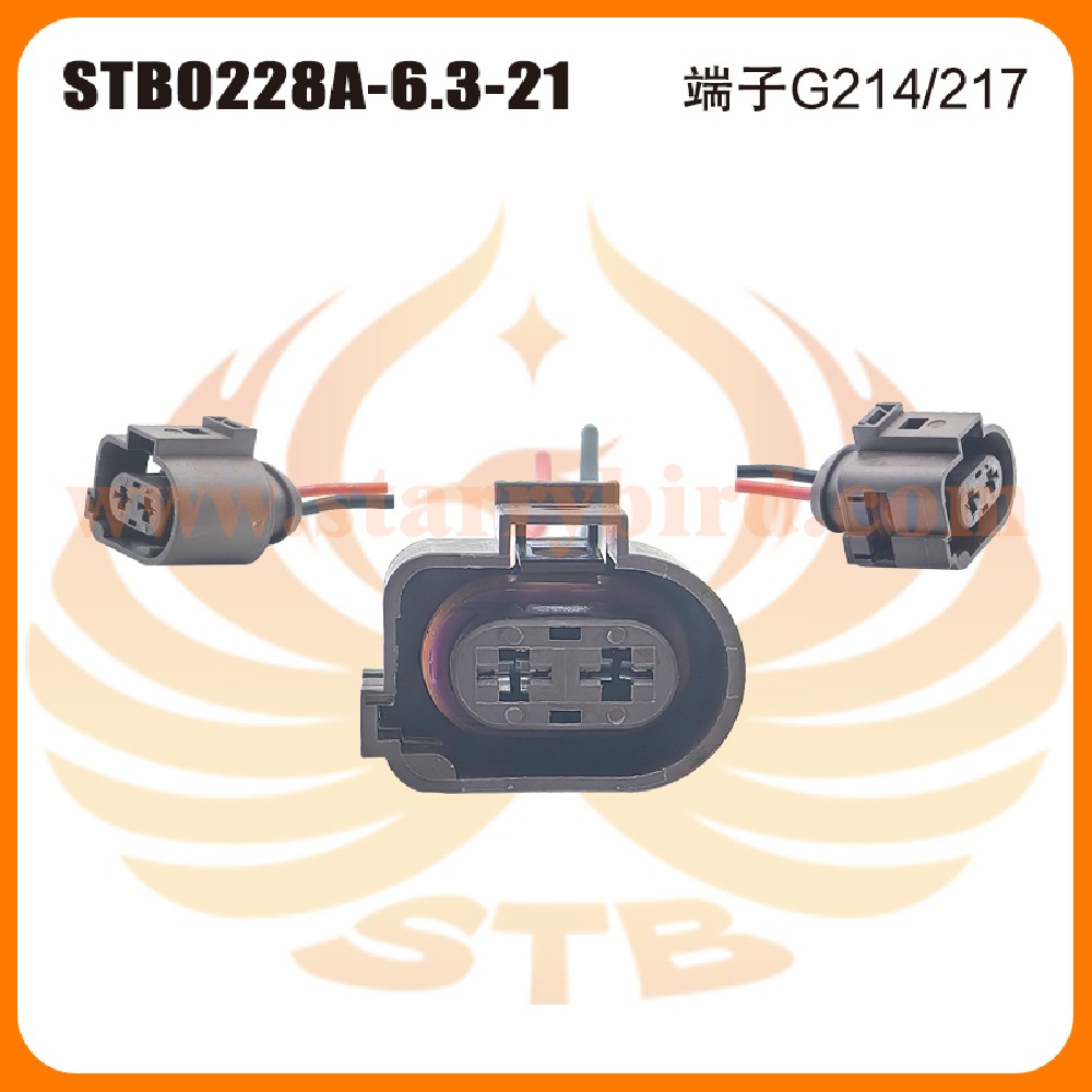 STB0228A-6.3-21