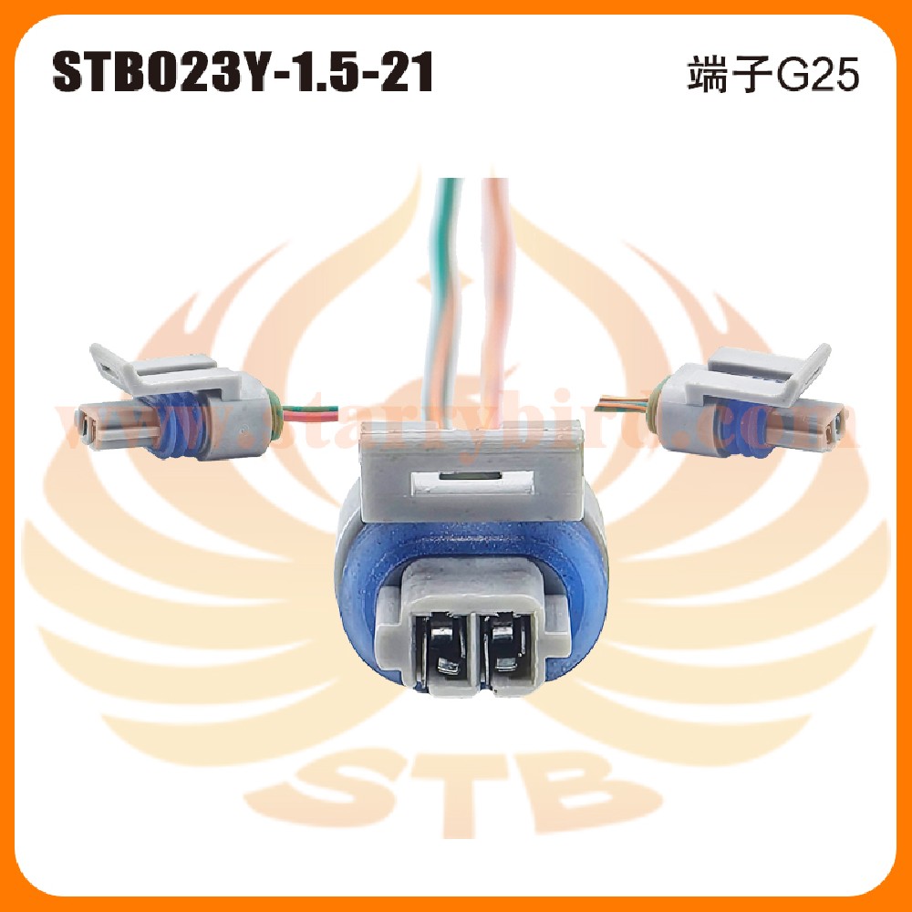 STB023Y-1.5-21