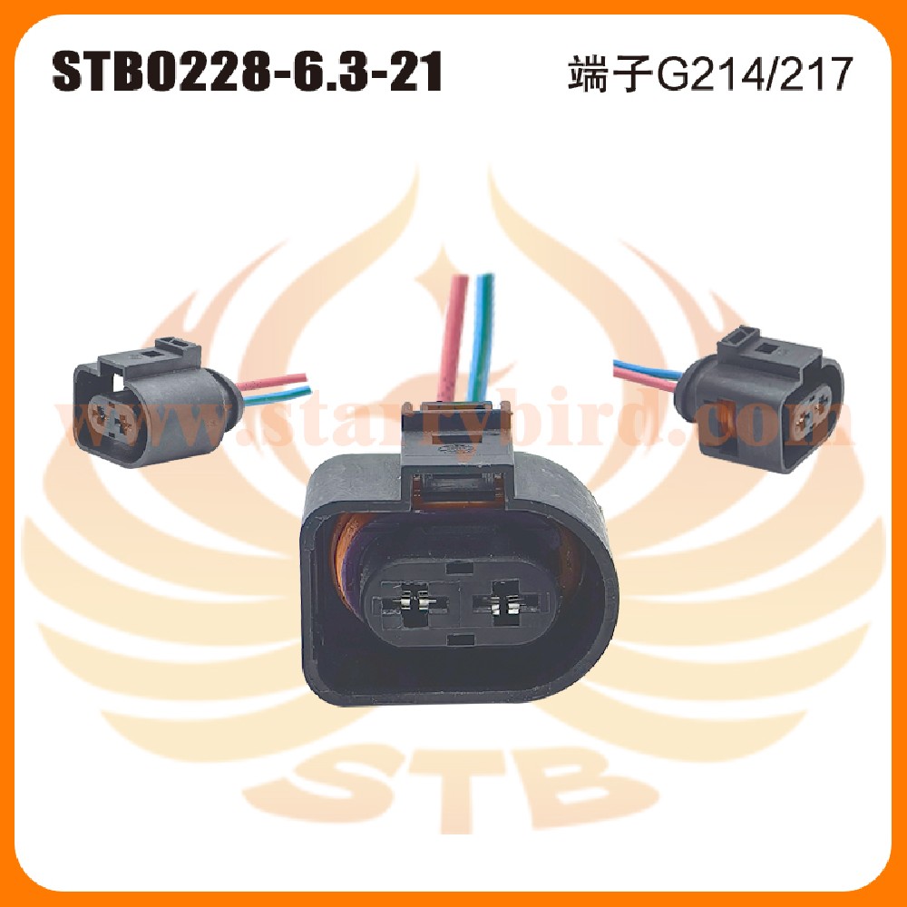 STB0228-6.3-21