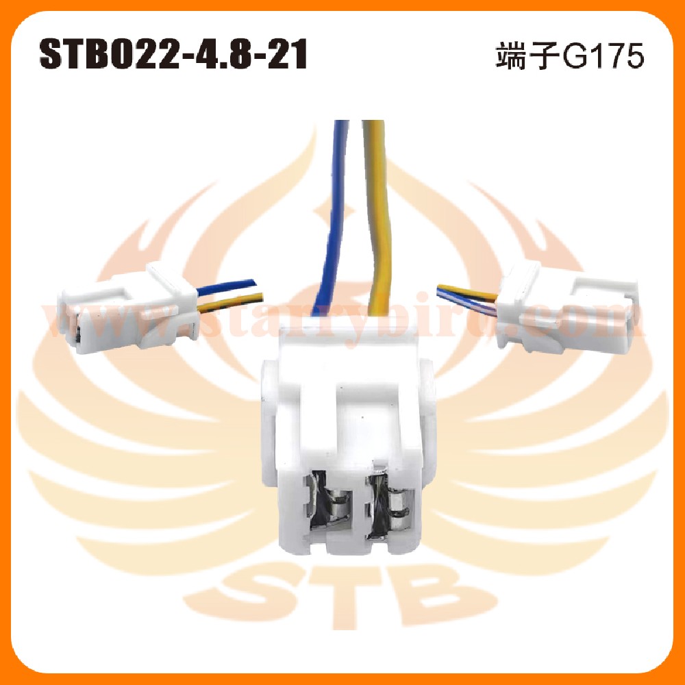 STB022-4.8-21