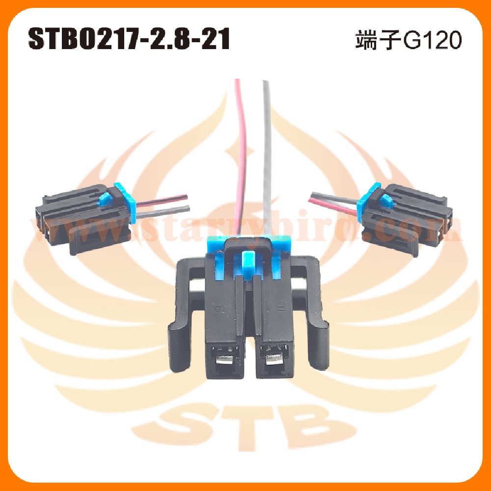 STB0217-2.8-21