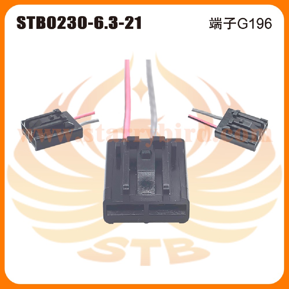 STB0230-6.3-21