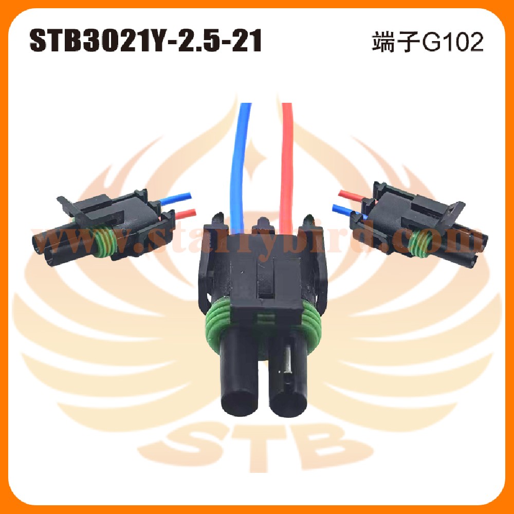 STB3021Y-2.5-21