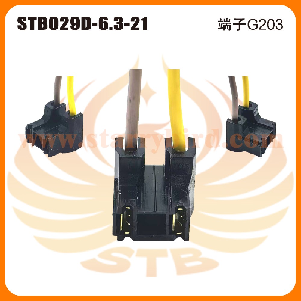 STB029D-6.3-21