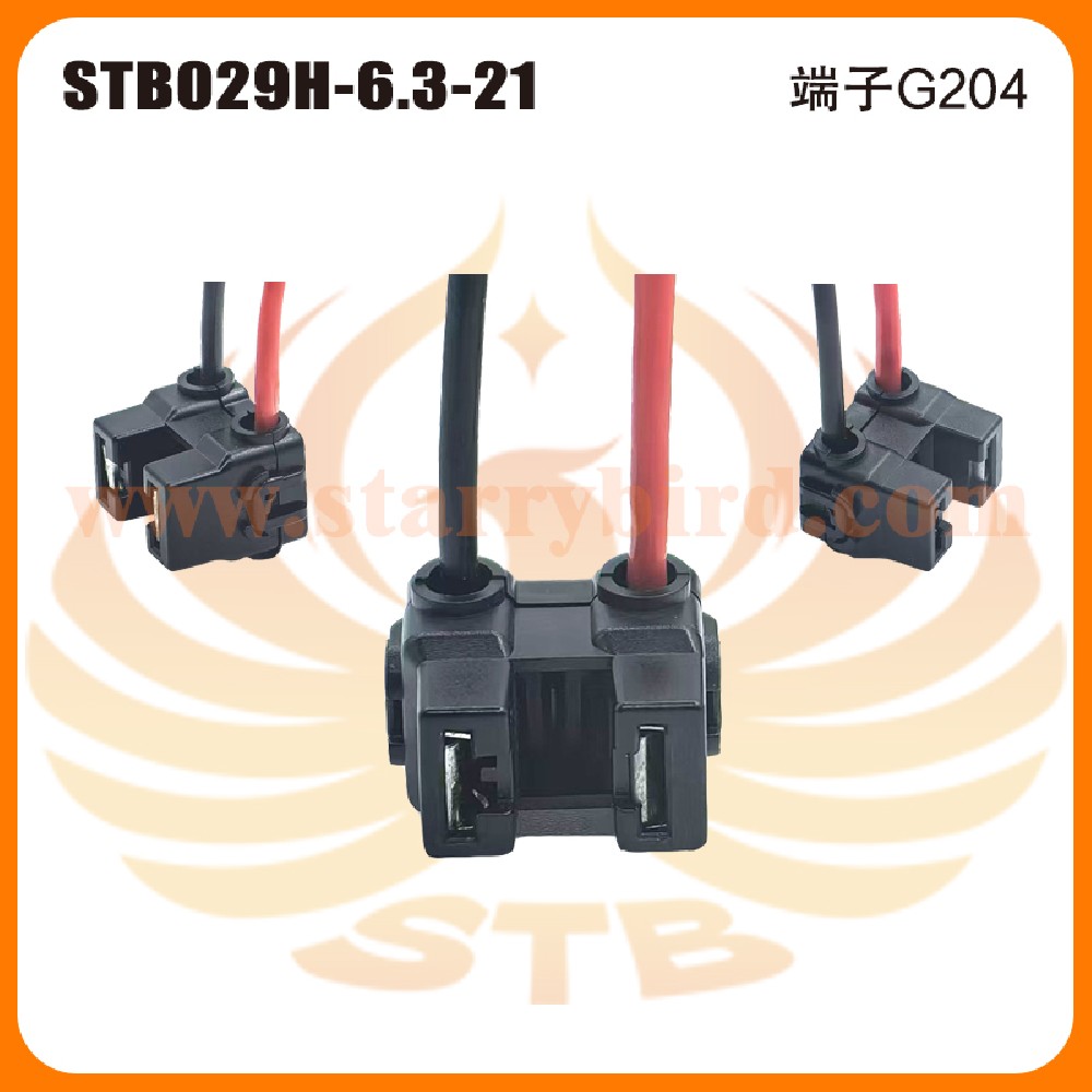 STB029H-6.3-21