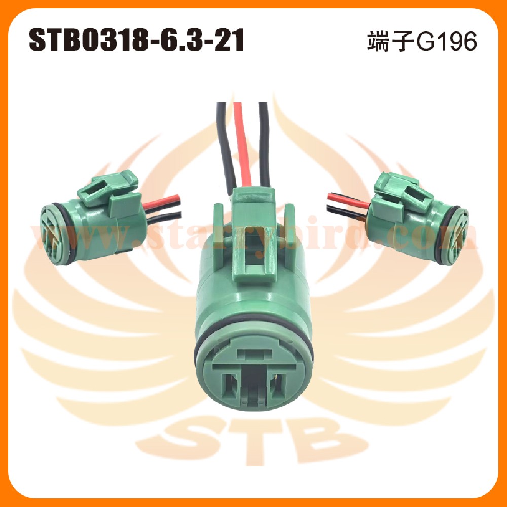 STB0318-6.3-21