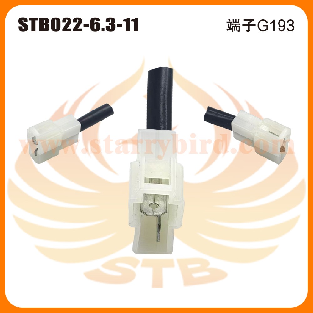 STB022-6.3-11