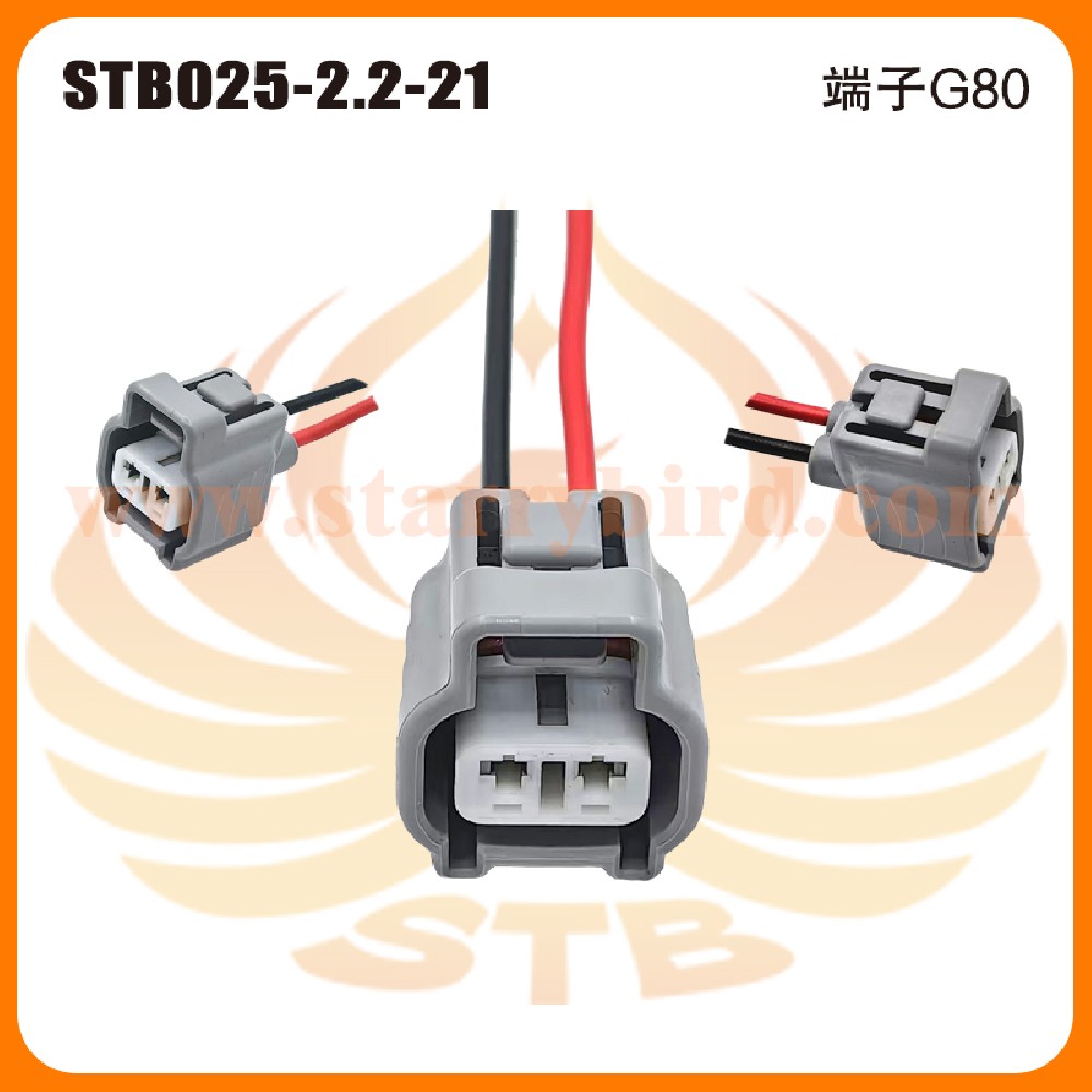 STB025-2.2-21