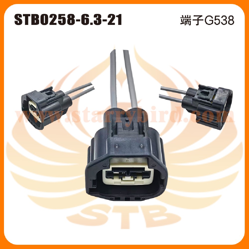 STB0258-6.3-21