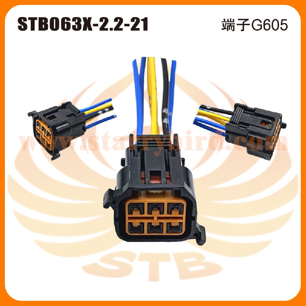 STB063X-2.2-21
