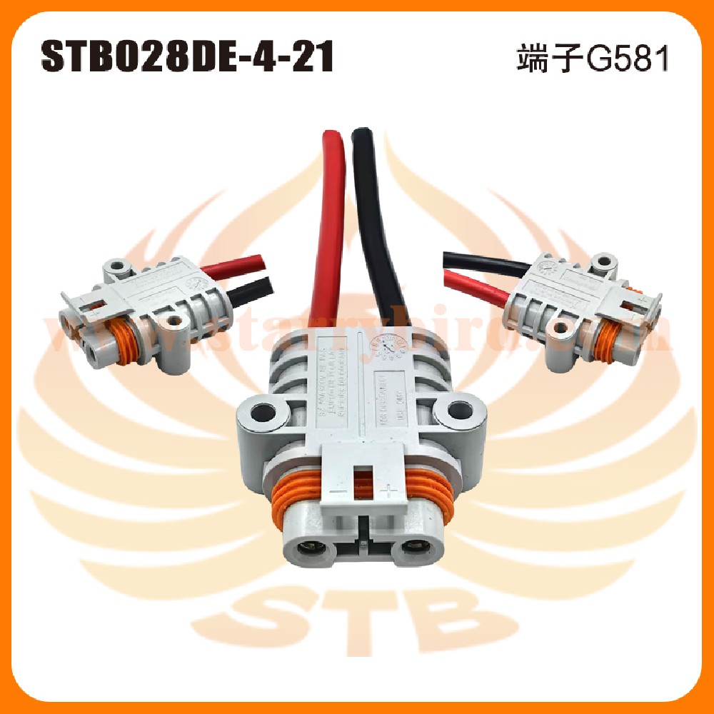 STB028DE-4-21