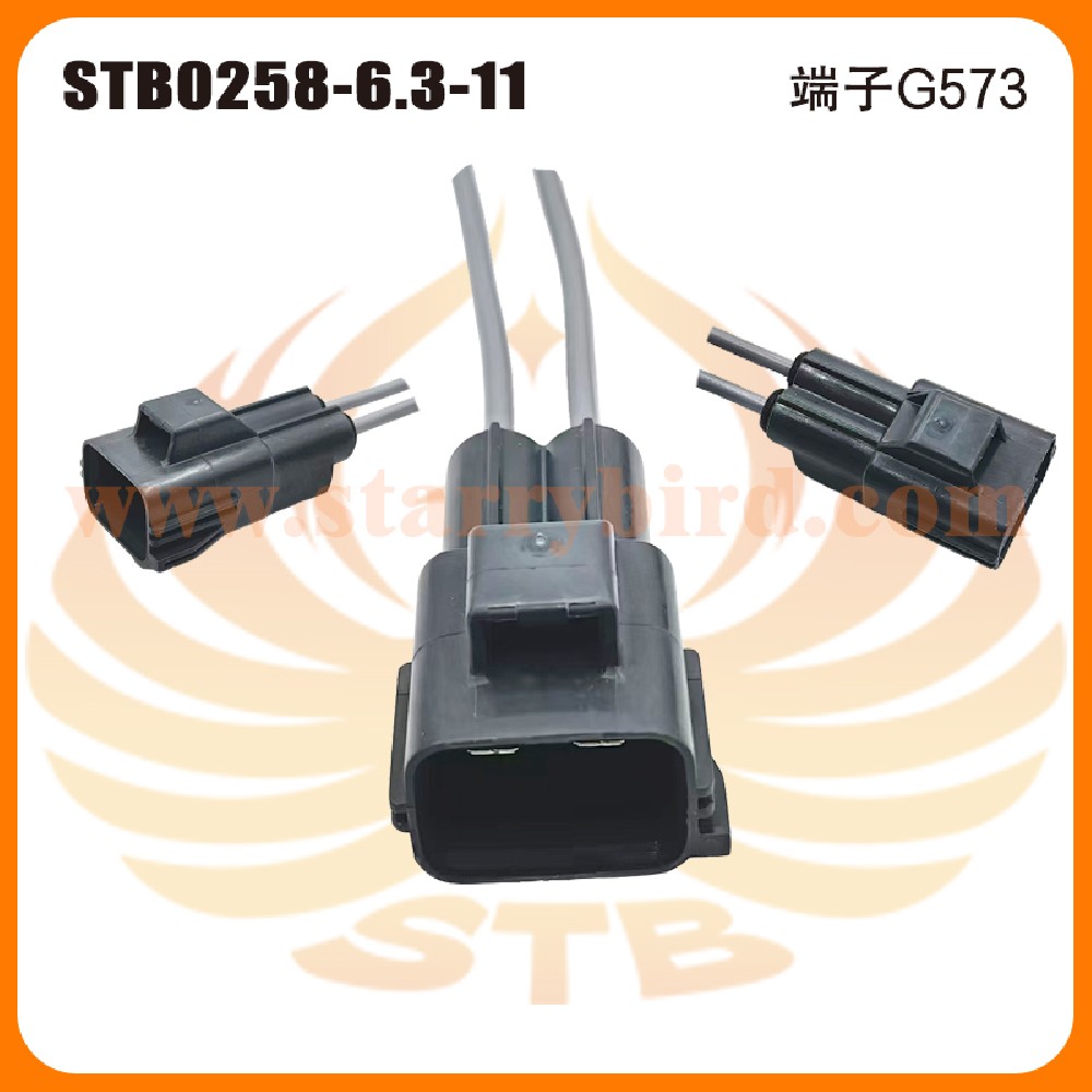 STB0258-6.3-11
